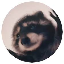 BucketHatTurtle's profile